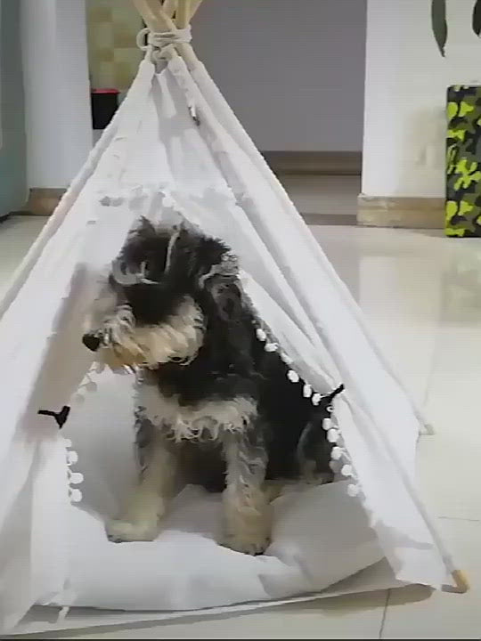 PAWS ASIA Manufacturers Luxury Design Wood Frame Foldable Dog Bed Tent Kennel Cat Teepee