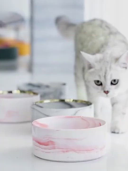 PAWS ASIA Wholesale Fancy Protect Cervical Pretty Designed Ceramic Cat Bowl