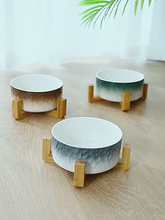 PAWS ASIA Suppliers Wholesale Custom Modern Unique Designed Luxury Ceramic Elevated Cat Bowl Dog With Wood Stand