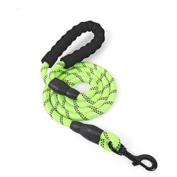 PAWS ASIA 2021 Manufacturers Dropshipping High Quality PVC Reflective Nylon Heavy Duty Luxury Running Rope Dog Leash11