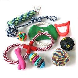 PAWS ASIA Manufacturers Direct Sale Eco Friendly Chewing Teeth Cleaning Interactive Assorted Dog Toy Set Rope