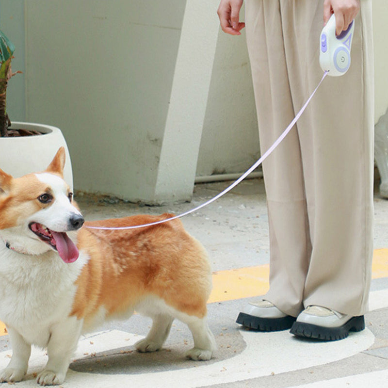 PAWS ASIA Wholesale Custom Luxury 3M Light Retractable Flash Led Handles Dog Leash Collar Set
