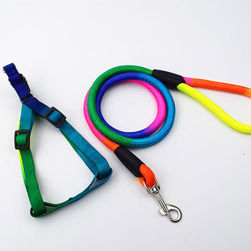 PAWS ASIA Suppliers Custom High Quality Nylon Adjustable Colorful Dog Leash And Harness