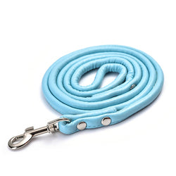 PAWS ASIA AliExpress Best Sell Trendy PU Material Cute Multicolor Tough Long Dog Leash