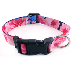PAWS ASIA AliExpress Best Selling Personalized Adjustable Lightweight Boho Dog Collar11