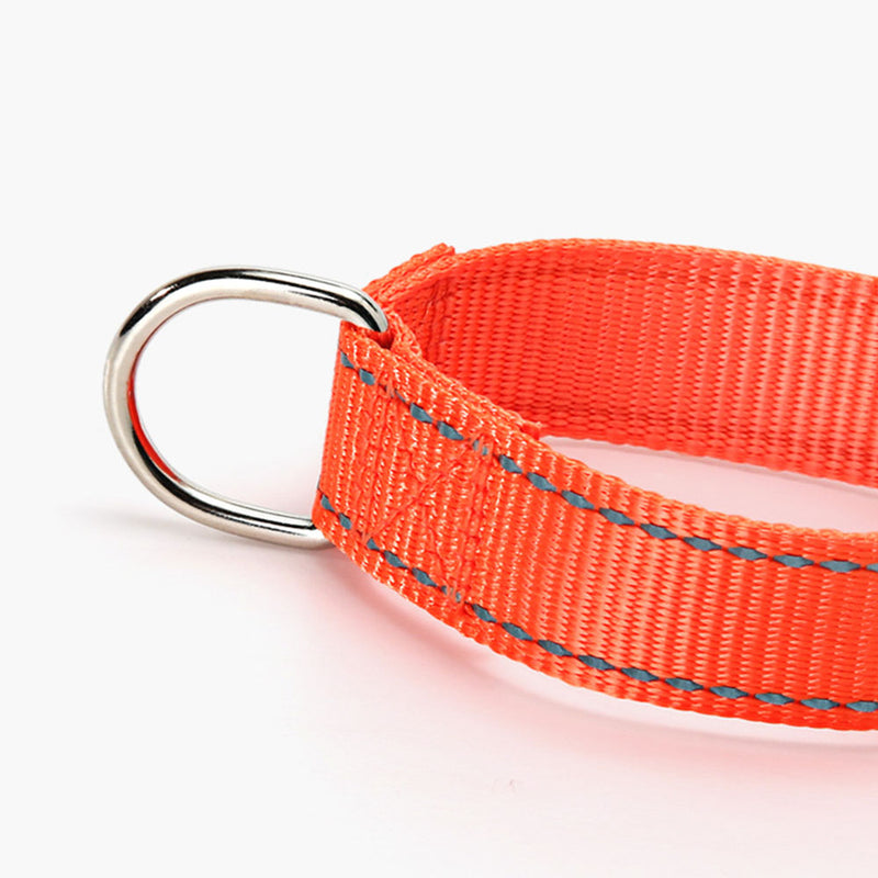 PAWS ASIA Suppliers New Design Custom Reflective Nylon Competitive Price Training Big Dog Collar
