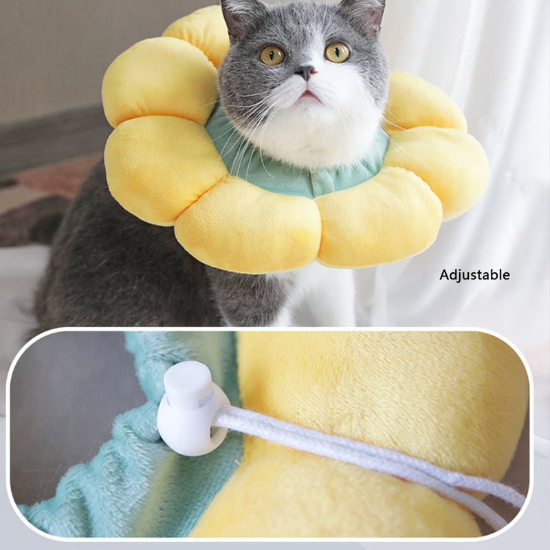 PAWS ASIA Wholesale High Quality Multiple Sizes Cute Round Elizabethan Collar Pet Dogs Cats