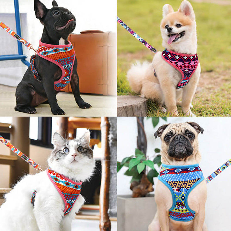 PAWS ASIA Factory High Quality Cute Colored Fancy Vest Puppy Dog Harness And Leash Set