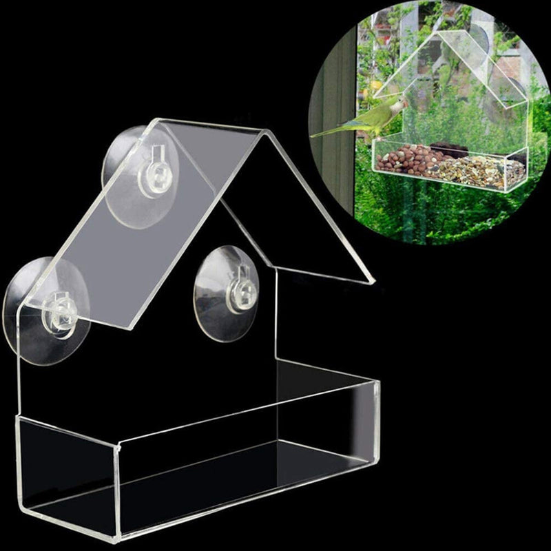 PAWS ASIA Manufacturers Acrylic Outdoor Suction Cups Window Wild Bird Feeder Food House Aviary