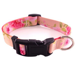 PAWS ASIA AliExpress Best Selling Personalized Adjustable Lightweight Boho Dog Collar16