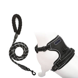 PAWS ASIA Wholesale Luxury Reflective Dog Leash Vest Harness Set With Easy Control Handle