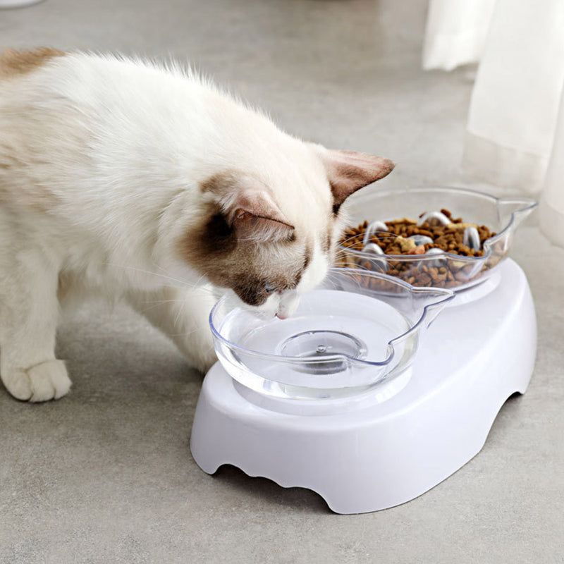 PAWS ASIA Manufacturers Plastic Luxury Elevated Slow Feeder Transparent Double Cat Bowl Dog
