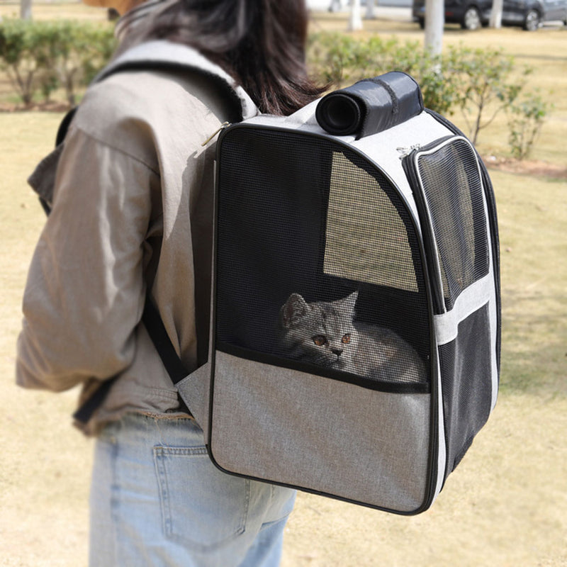 PAWS ASIA Manufacturer Outdoor Portable Travel Backpack Pet Cat Cage Dog Space Bag
