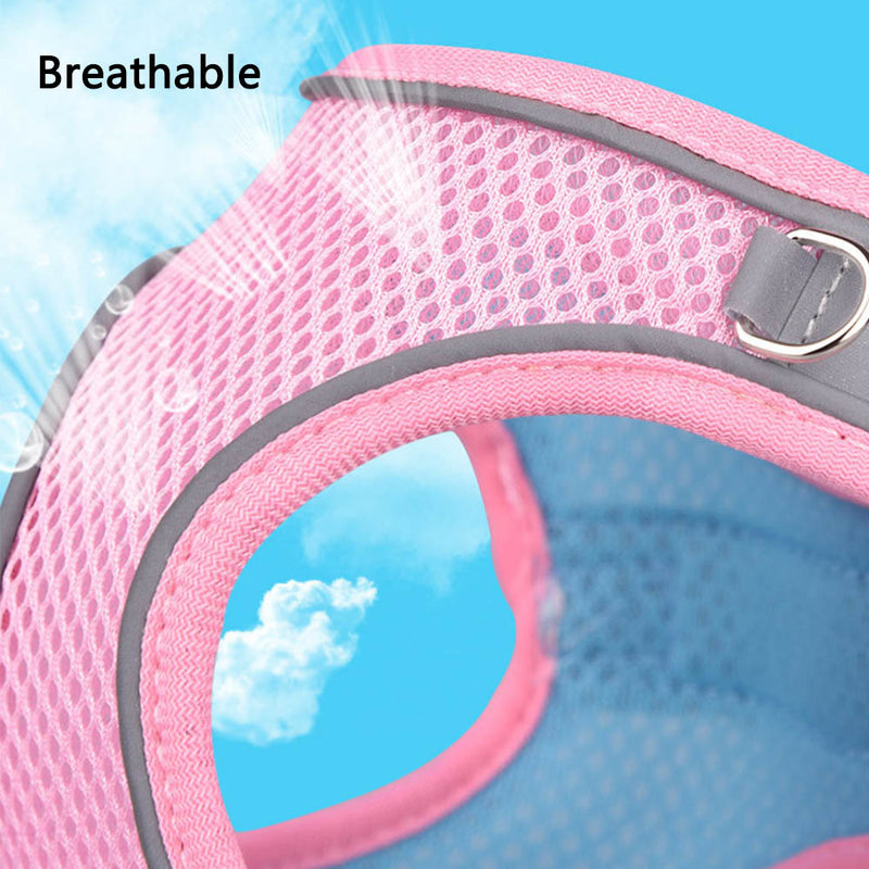 PAWS ASIA Supplier Breathable Mesh Reflective Luxury Adjustable Cute Dog Harness And Leash Set