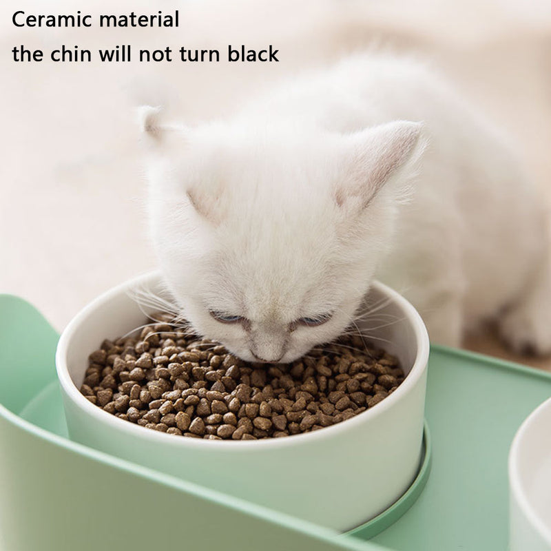 PAWS ASIA Suppliers Modern Upgrade Protect Cervical Raised Ceramic Non Slip Double Cat Bowl