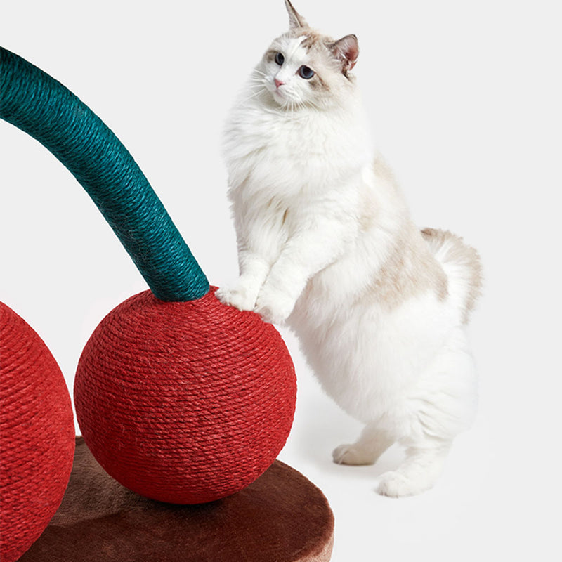 PAWS ASIA Manufacturer Indoor Eco Friendly Durable Luxury Cat Scratcher Toy Cherry Ball