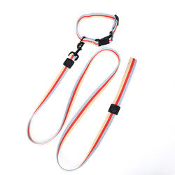 PAWS ASIA Manufacturers Custom Polyester Stripe Medium And Small Dog Collar Leash Set