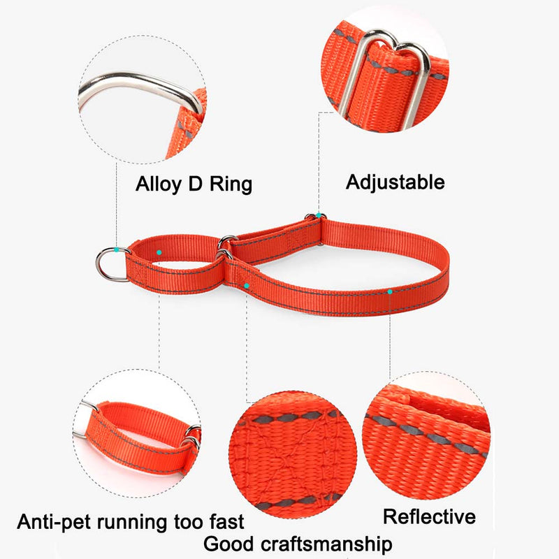 PAWS ASIA Suppliers New Design Custom Reflective Nylon Competitive Price Training Big Dog Collar