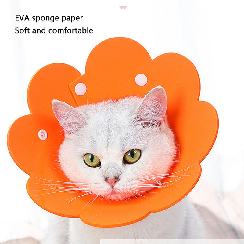 PAWS ASIA Suppliers New Design Cute Flower Waterproof Cat Protective Collar Dog Anti Bite Lick Pet Product