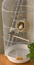 PAWS ASIA China Manufacturers Display Exotic Round Big Bird Cage With Feeder