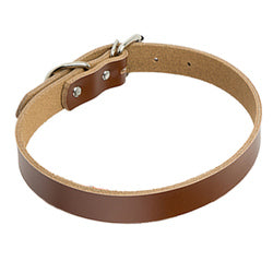 PAWS ASIA Factory Direct Sale Hot Sale Adjustable Vegan Cowhide Leather Plain Color Dog Collar
