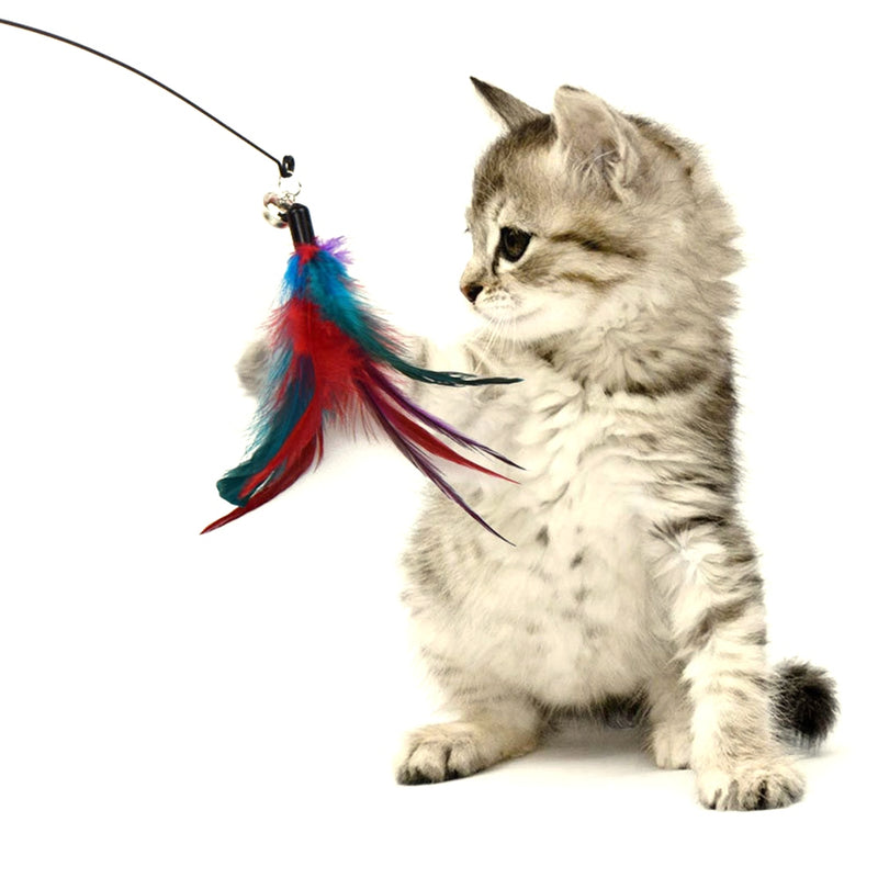 PAWS ASIA Lazada Top Seller Colorful Hanging Feather Vocal Bell Cat Toy Wand