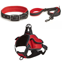 PAWS ASIA Wholesale New Waterproof Reflective Pet Dog Collar And Leash Harness Set With Bag