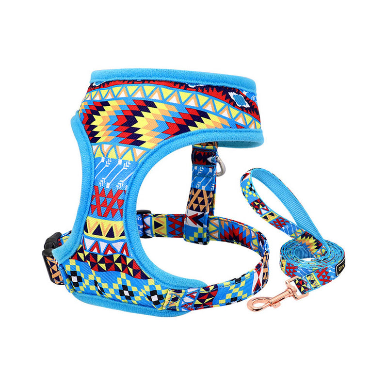 PAWS ASIA Factory High Quality Cute Colored Fancy Vest Puppy Dog Harness And Leash Set