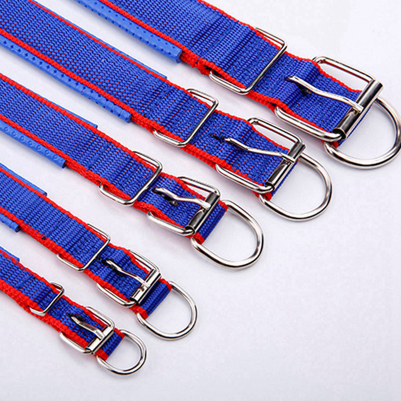 PAWS ASIA Ebay New Style Personalized Adjustable Fashion Luxury Training Stock Large Stripe Collar Dog In Stock