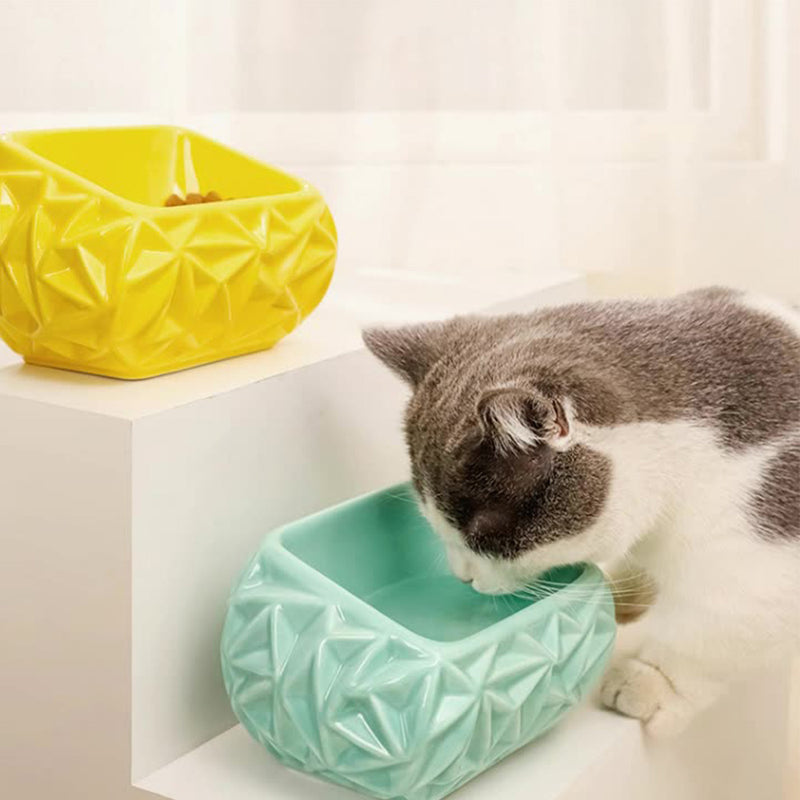 PAWS ASIA Suppliers Modern Creative 15 Degree Tilted Multi Color Ceramic Luxury Portable Cat Bowl For Dogs