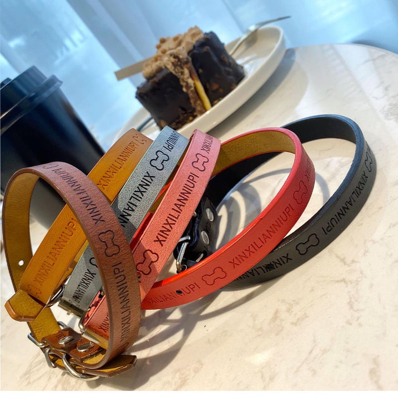 PAWS ASIA Lazada Best Selling Cute Letters Print Mini Light Pu Leather Dog Collar