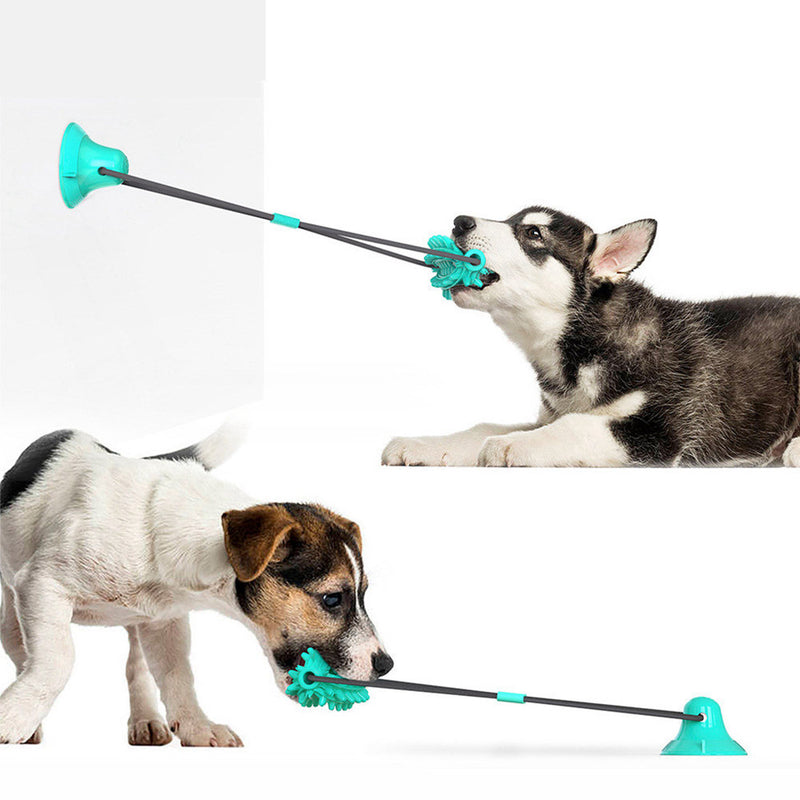 PAWS ASIA Factory Low Moq Teeth Cleaning Molar Interactive Improve IQ Pulling Suction Cup Dog Toy