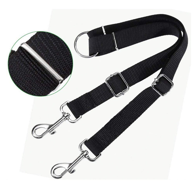 PAWS ASIA Wholesale Black Nylon Adjustable Training Double Hooks Dog Leash For Small Dog