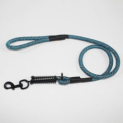 PAWS ASIA Wish Hot Sales New Style Fashion Reflective Big Dog Leash With Spring