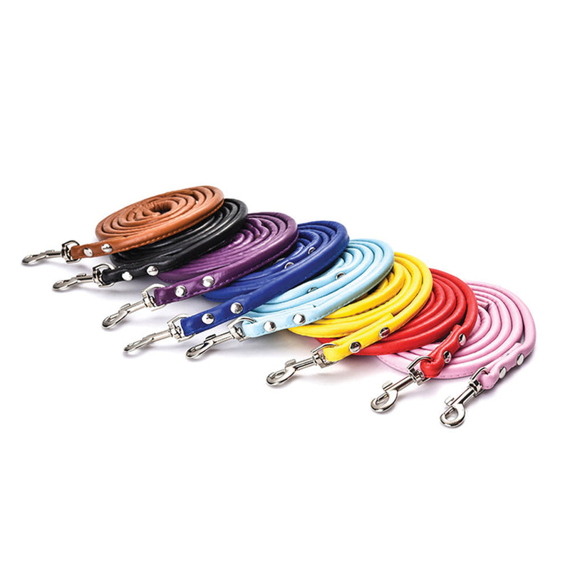 PAWS ASIA AliExpress Best Sell Trendy PU Material Cute Multicolor Tough Long Dog Leash