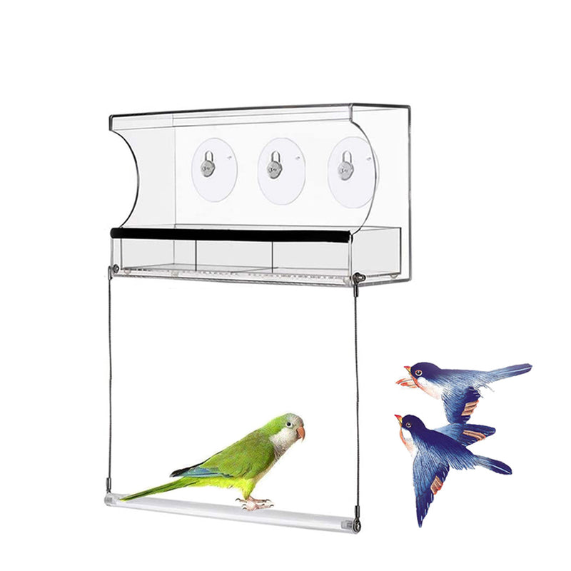 PAWS ASIA Factory Acrylic Transparent Outdoor Window Hanging Bird Feeder Humming Cage