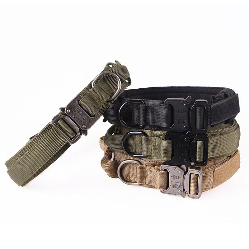 PAWS ASIA Factory Metal Buckle Padded Nylon Outdoor Training Tactical Dog Collar With Handle