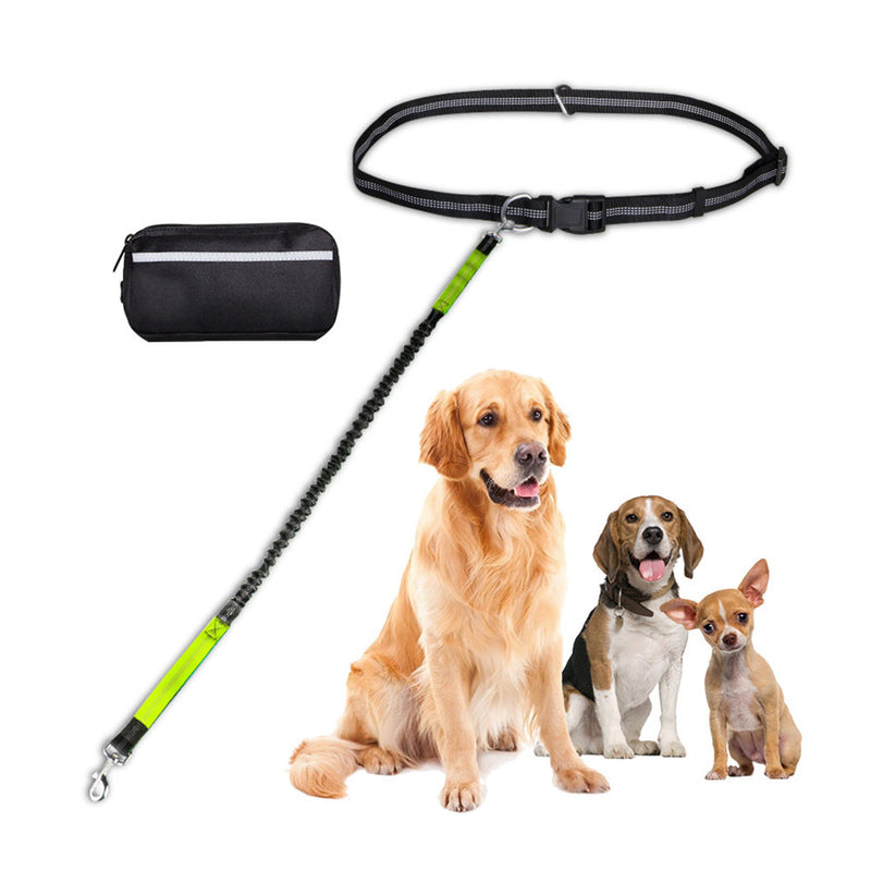 PAWS ASIA Manufacturers Reflective Nylon Adjustable Running Hands Free Dog Leash