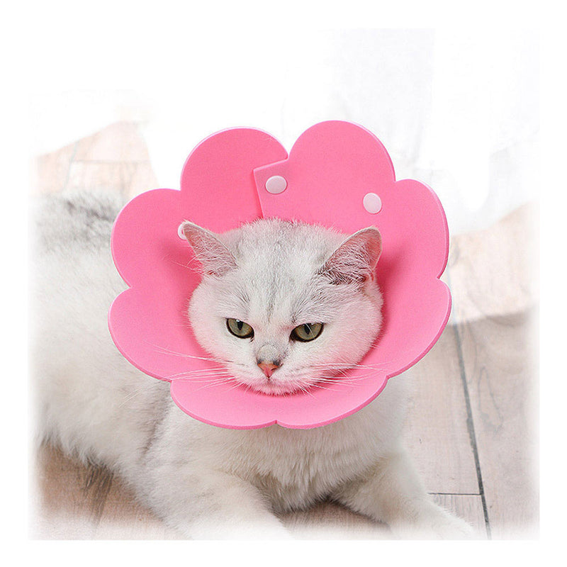 PAWS ASIA Suppliers New Design Cute Flower Waterproof Cat Protective Collar Dog Anti Bite Lick Pet Product