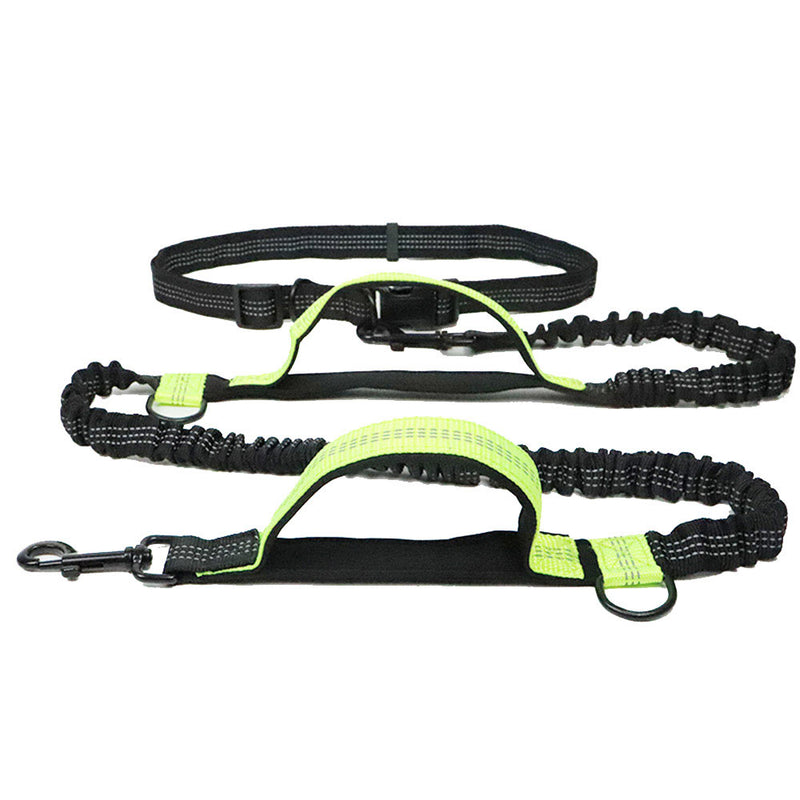 PAWS ASIA Wholesale Custom Portable Elastic Wist Hands Free Dog Leash For Running