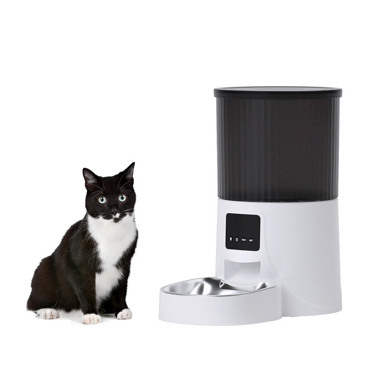 PAWS ASIA Manufacturers 4L Wifi Automatic Pet Food Dispenser Cat Dog Feeder With Talking From Smart Phone