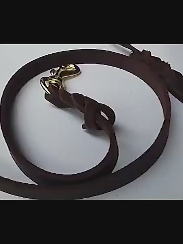 PAWS ASIA Manufacturers Brown Luxury Pure Leather Heavy Duty Dog Leash For Large Dog