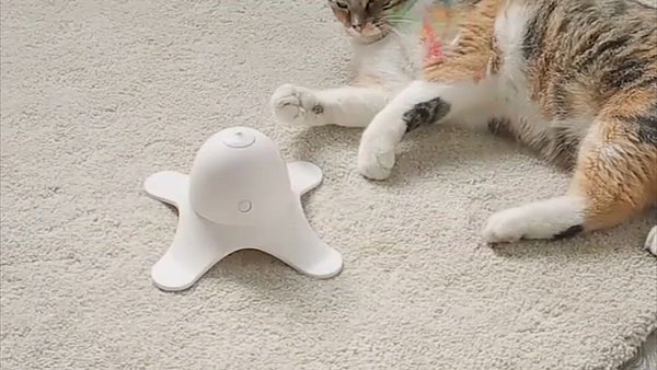 PAWS ASIA Supplier Hot Selling Electronic Automatic Interactive Pet Playing Cute Butterfly Cat Toy