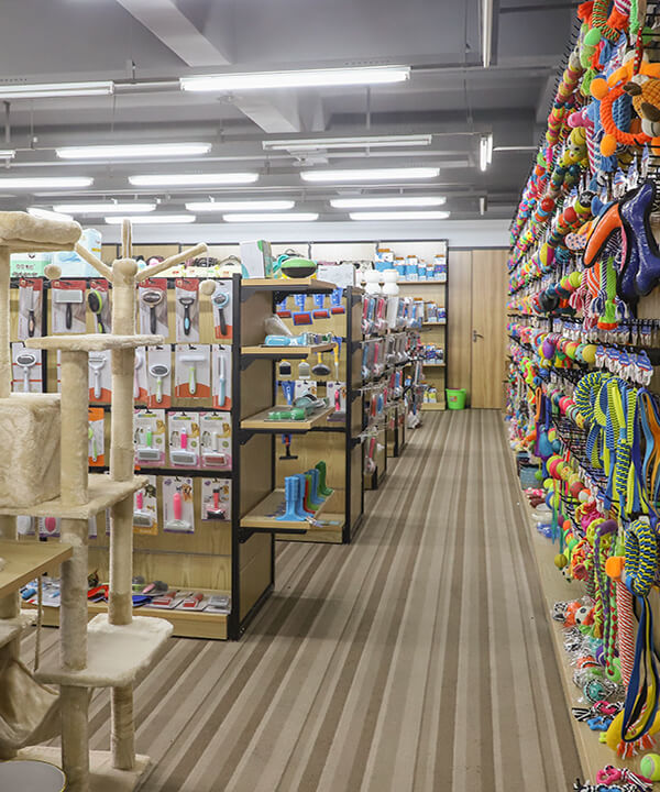 Show Room.jpg