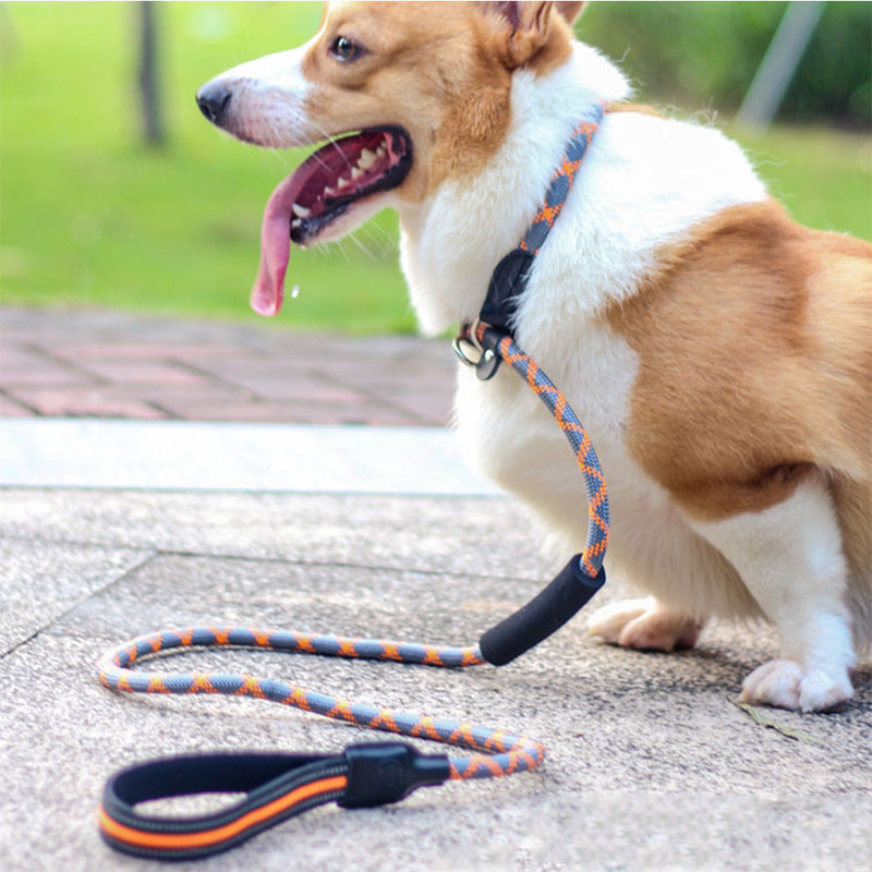 PAWS ASIA Suppliers 2 in 1 Nylon Reflective Training Strong Heavy Duty Dog Collar And Leash