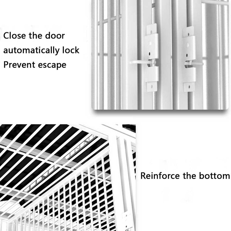 PAWS ASIA China Manufacturers Galvanized Steel Pipe Enclosures Large Commercial Pet Breeding Cat Cage 3 Layer