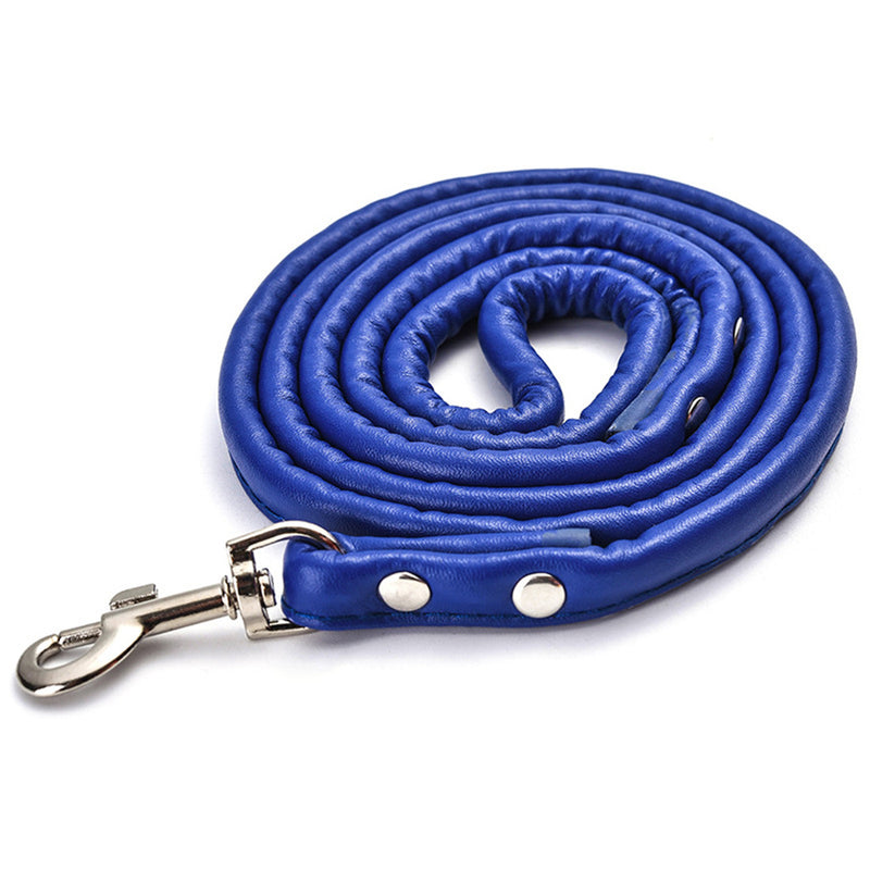 PAWS ASIA AliExpress Best Sell Trendy PU Material Cute Multicolor Tough Long Dog Leash