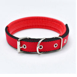 PAWS ASIA Ebay New Style Personalized Adjustable Fashion Luxury Training Stock Large Stripe Collar Dog In Stock