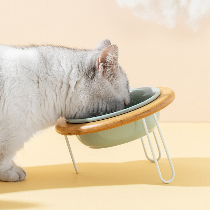 PAWS ASIA Supplier New Ceramic Elevated Protect Cervical Cute Slant Cat Bowl