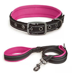 PAWS ASIA Wholesale New Waterproof Reflective Pet Dog Collar And Leash Harness Set With Bag